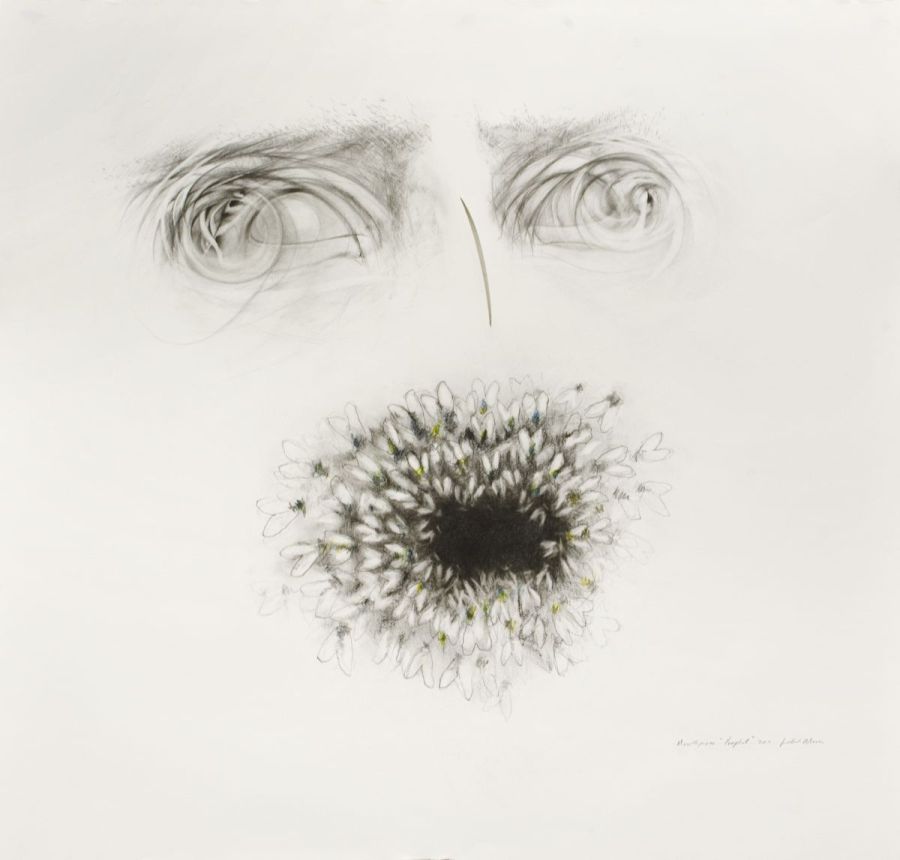 Judith Mason. Mouthpiece Prophet. 2011. Pencil and coloured pencil on paper. 1082X1036mm 